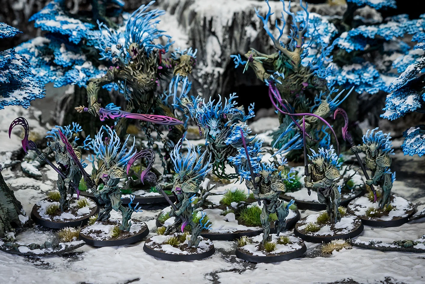 Winter Sylvaneth Army - General photo of the project