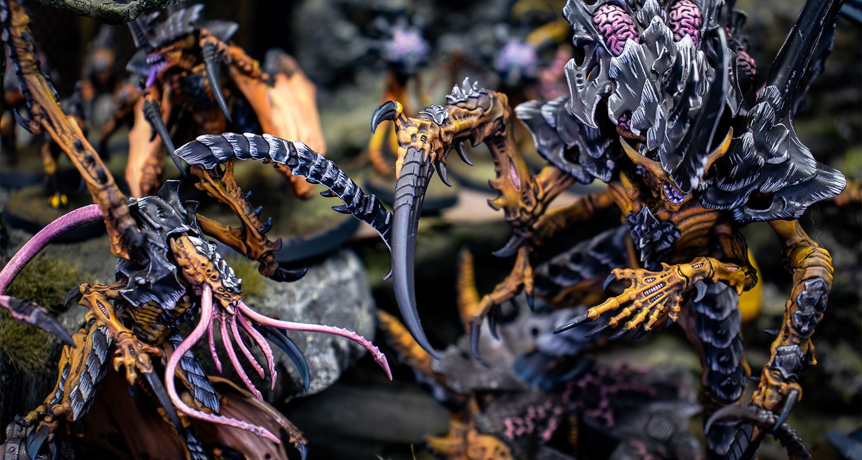 Flota Enjambre Gévaudan