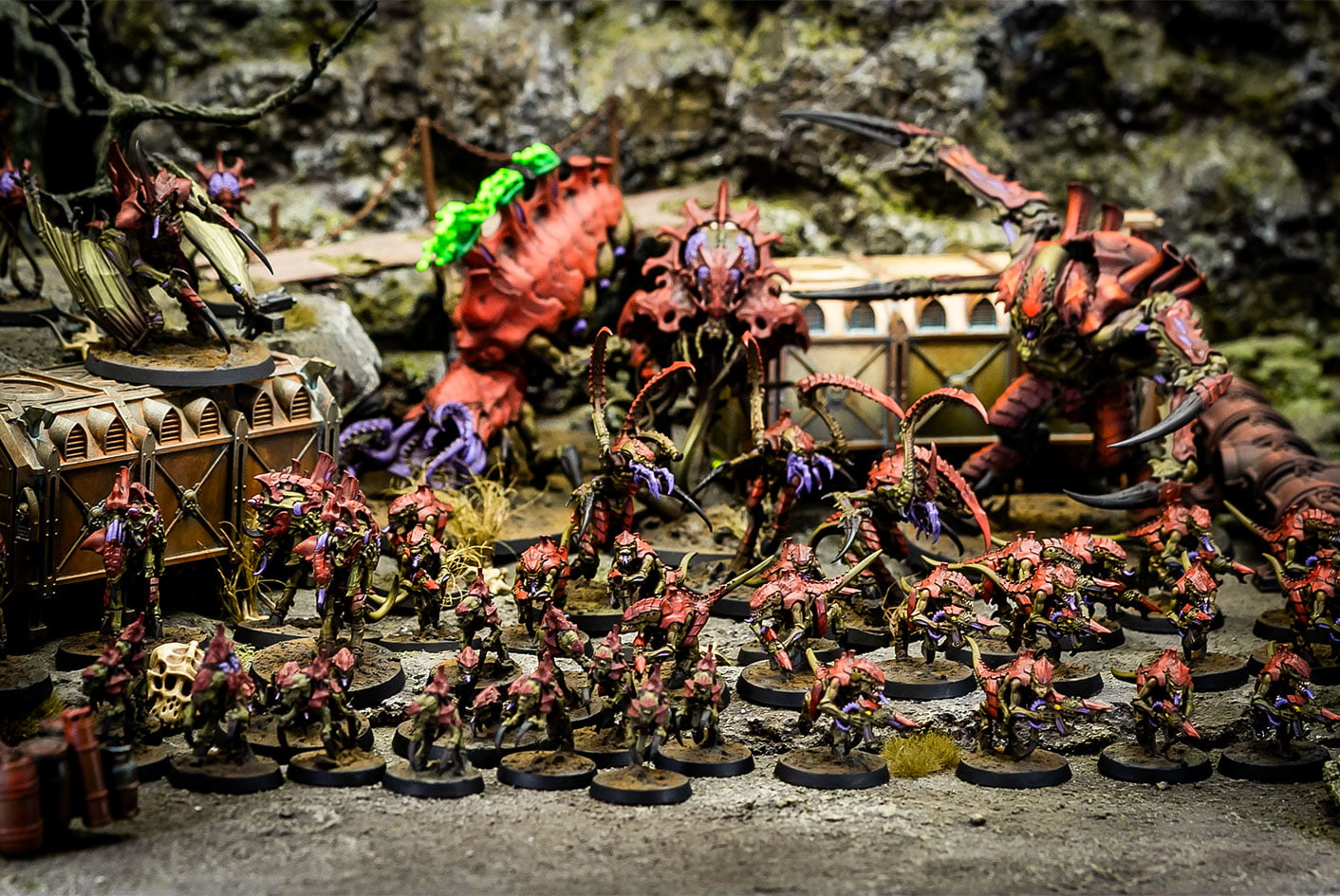 foto-2 Flota Enjambre Korkhoi