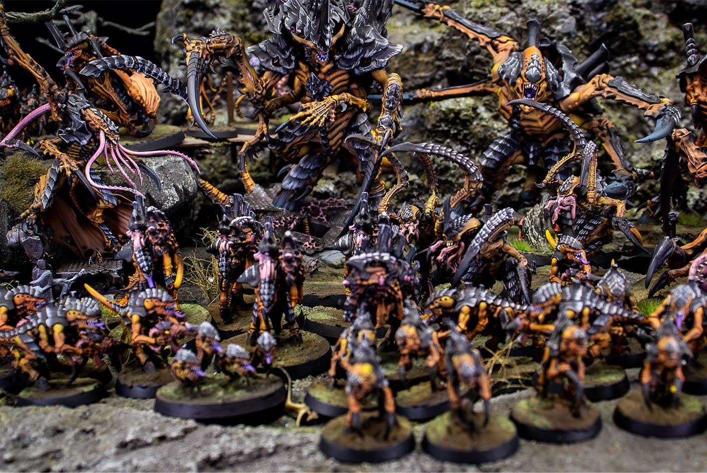 Flota Enjambre Gévaudan