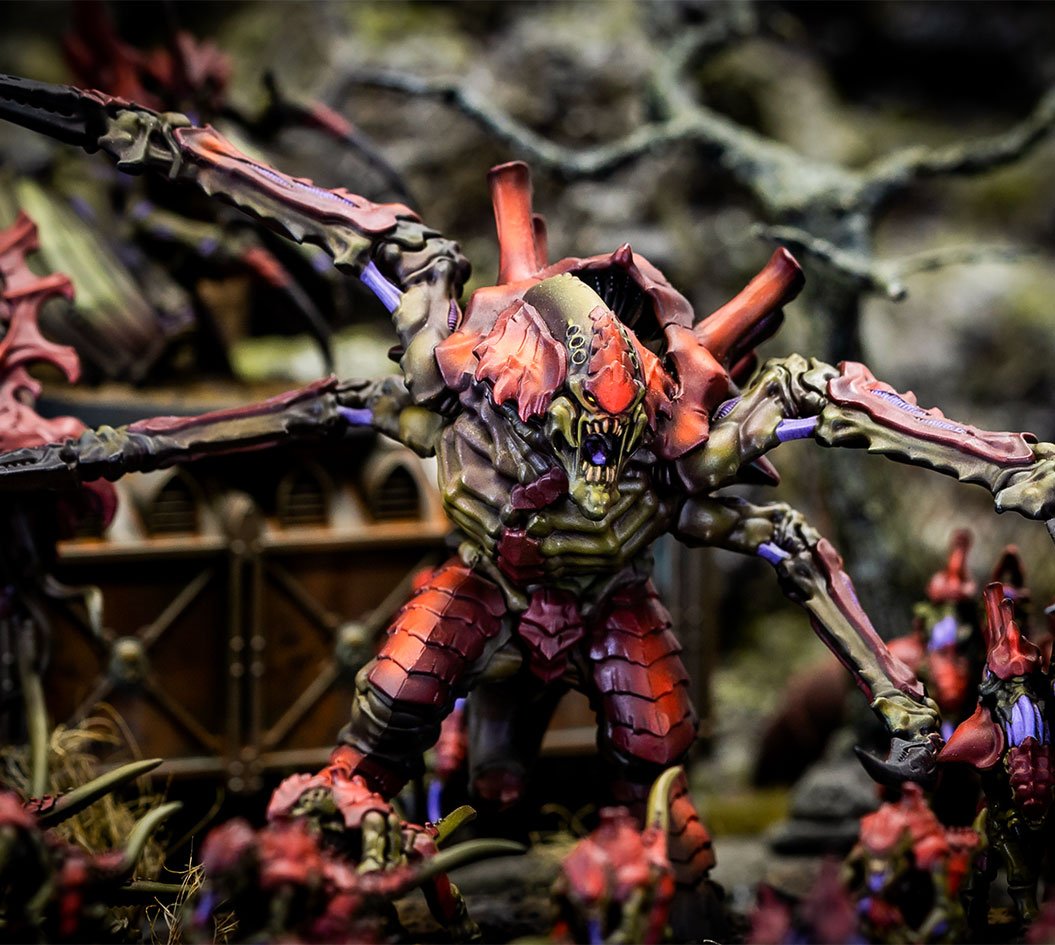 foto-3 Flota Enjambre Korkhoi