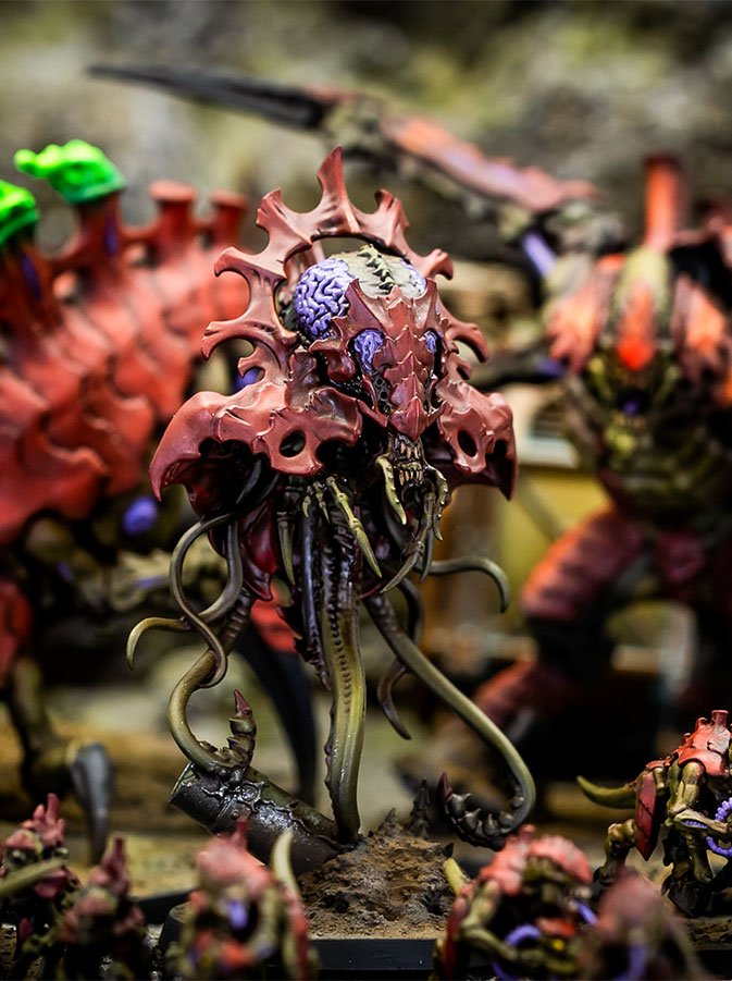 foto-4 Flota Enjambre Korkhoi