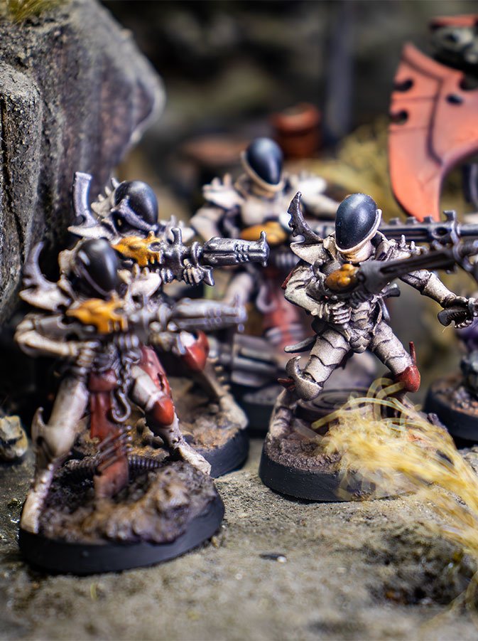 foto-4 Ejército Drukhari Calavera Blanca