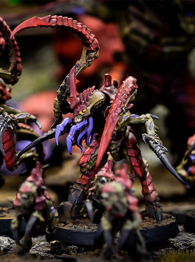 foto-5 Flota Enjambre Korkhoi