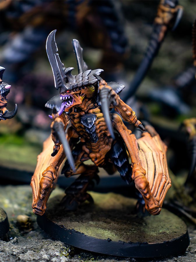 Flota Enjambre Gévaudan