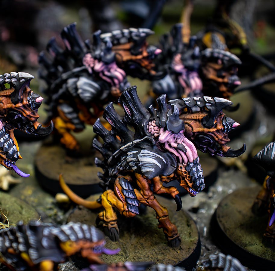 Flota Enjambre Gévaudan o Hive Fleet Gevaudan