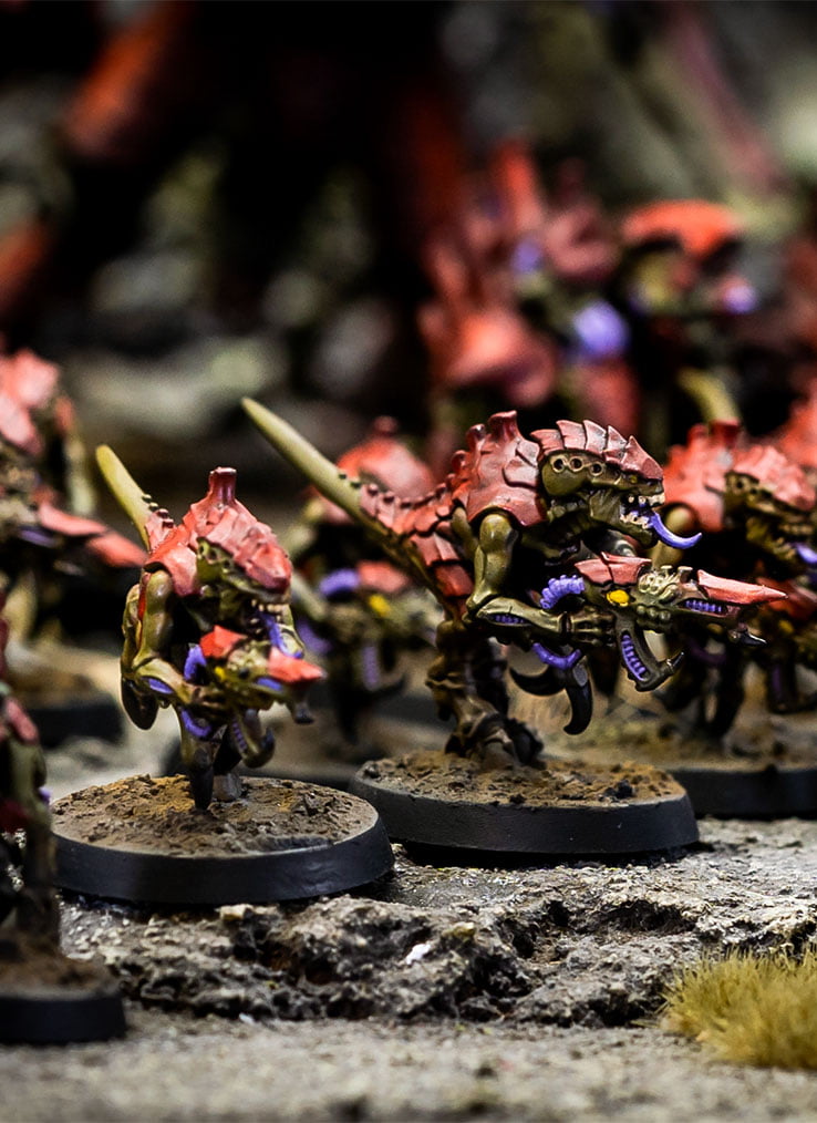 foto-7 Flota Enjambre Korkhoi