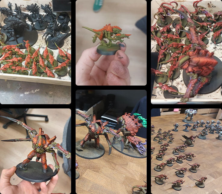 foto-proceso Flota Enjambre Korkhoi