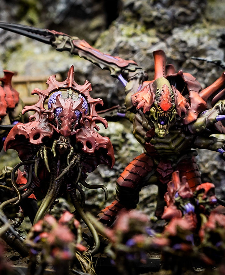 Flota Enjambre Korkhoi