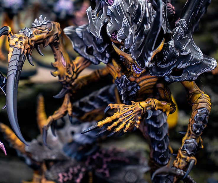 Flota Enjambre Gévaudan