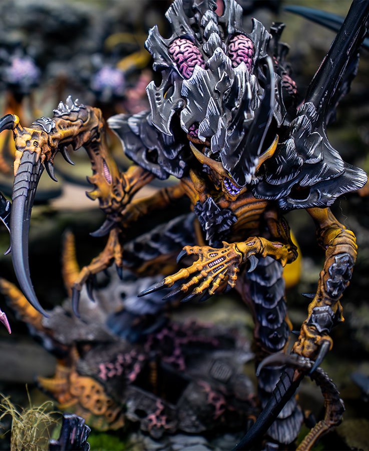 Flota Enjambre Gévaudan