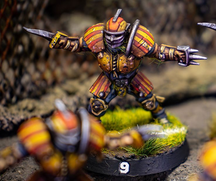 Merodeadores Middenheim