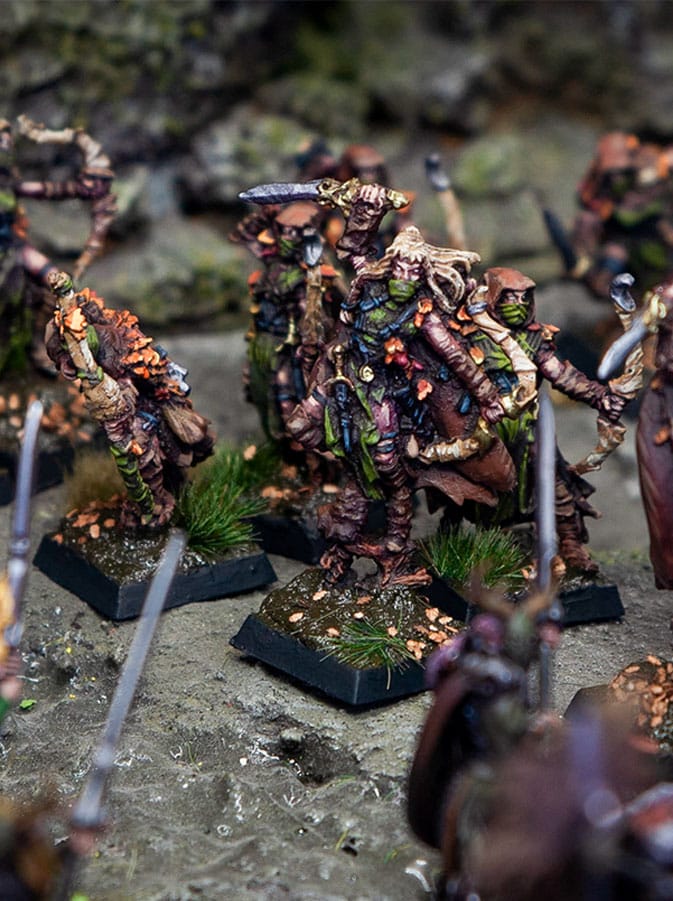 foto-4 Seasonal Sylvan Elves waywatchers