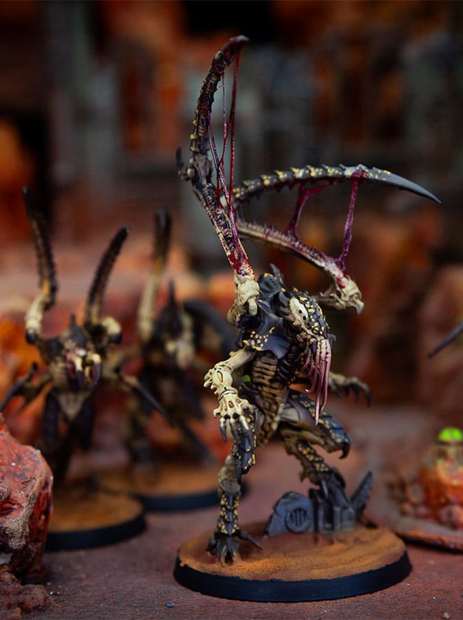 foto-4 Tiránidos Desierto