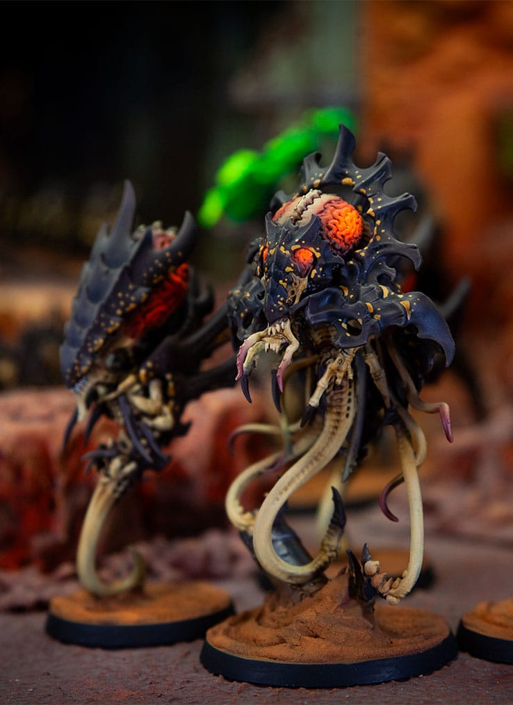 foto-7 Tiránidos Desierto