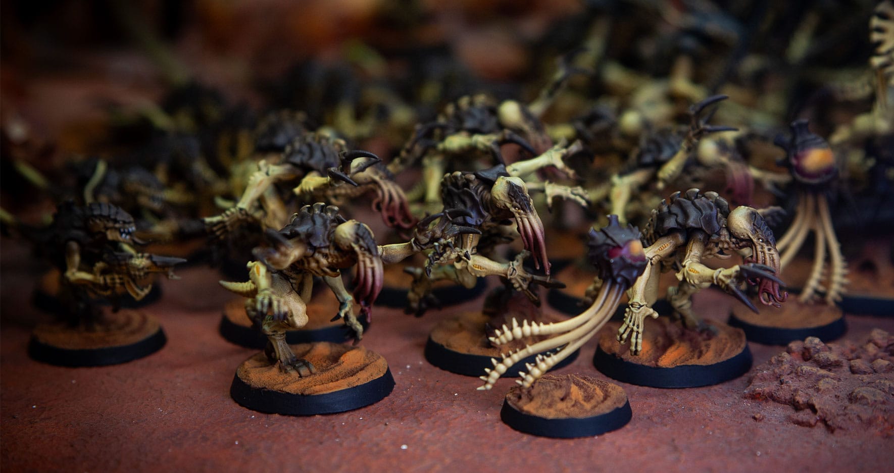 foto-8 Tiránidos Desierto